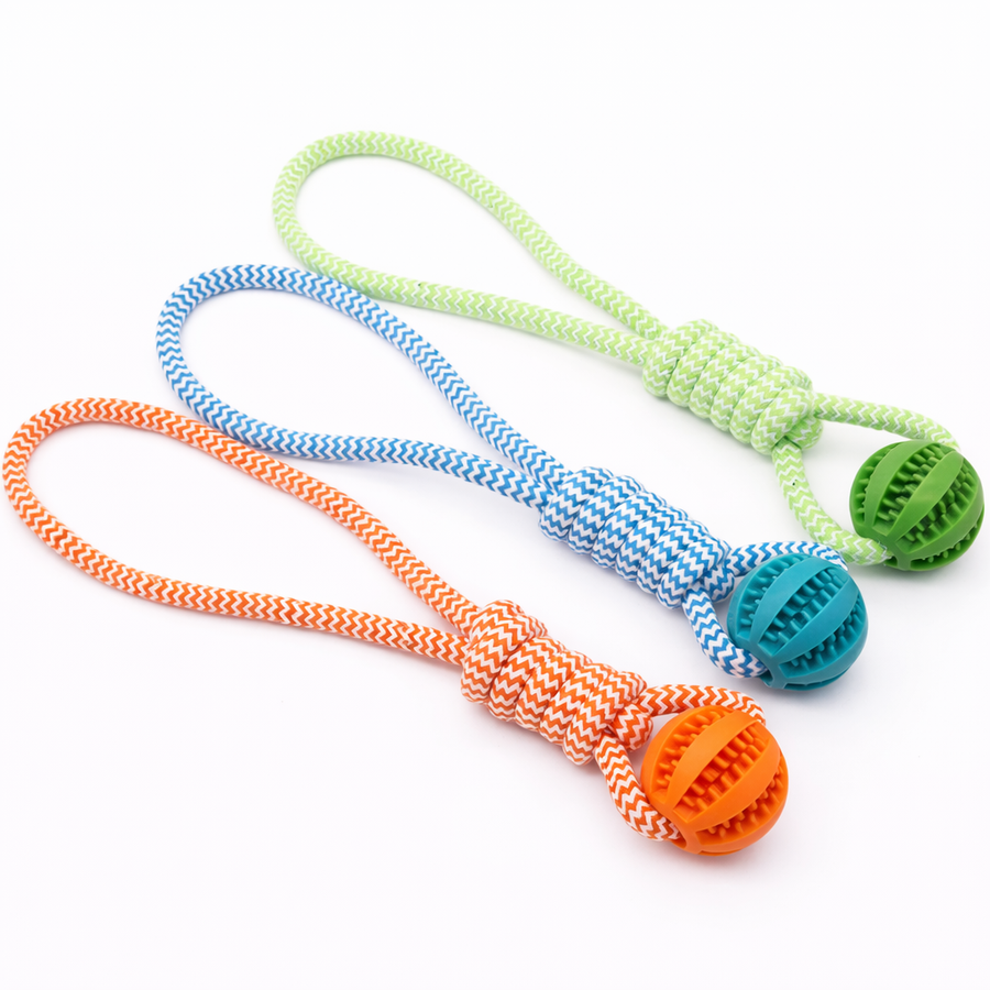 RopeDental – Jouet dentaire avec corde