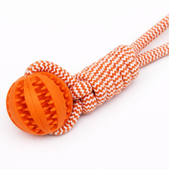 RopeDental – Jouet dentaire avec corde