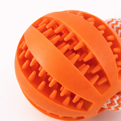 RopeDental – Jouet dentaire avec corde