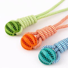 RopeDental – Jouet dentaire avec corde