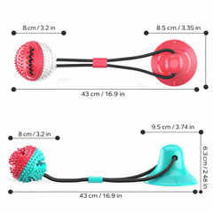 SuctionPlay – Jouet à ventouse
