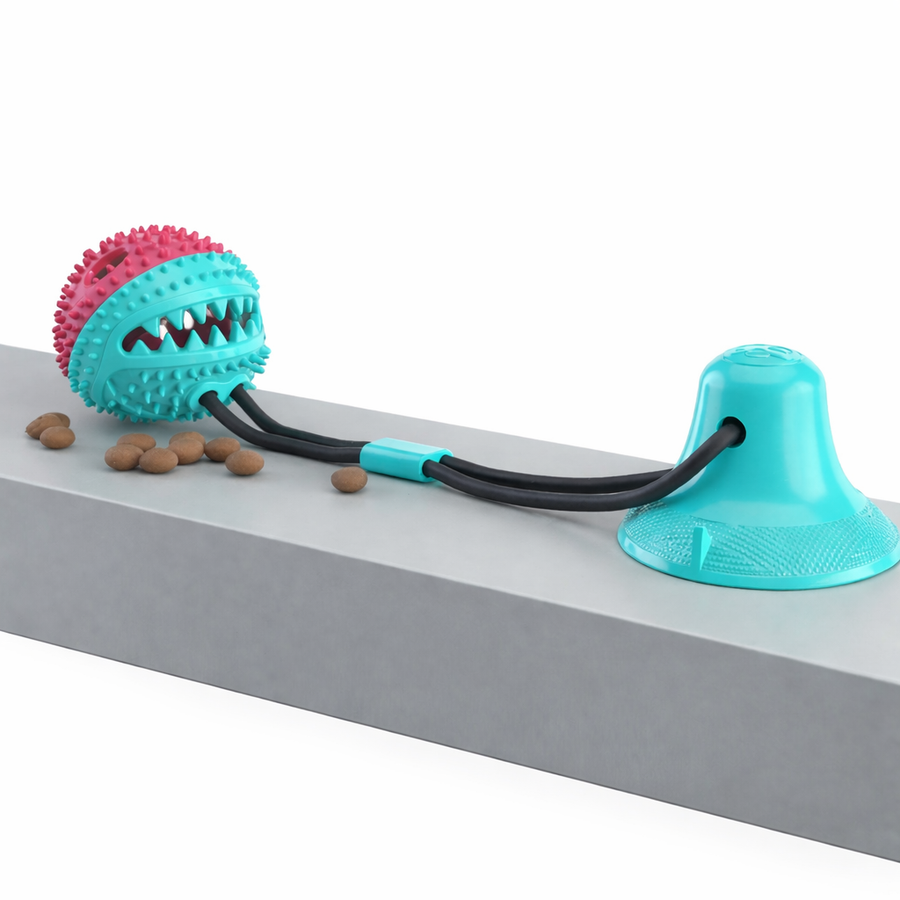 SuctionPlay – Jouet à ventouse