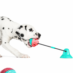 SuctionPlay – Jouet à ventouse