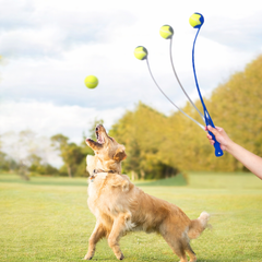 PowerThrow – Lance-balle ergonomique